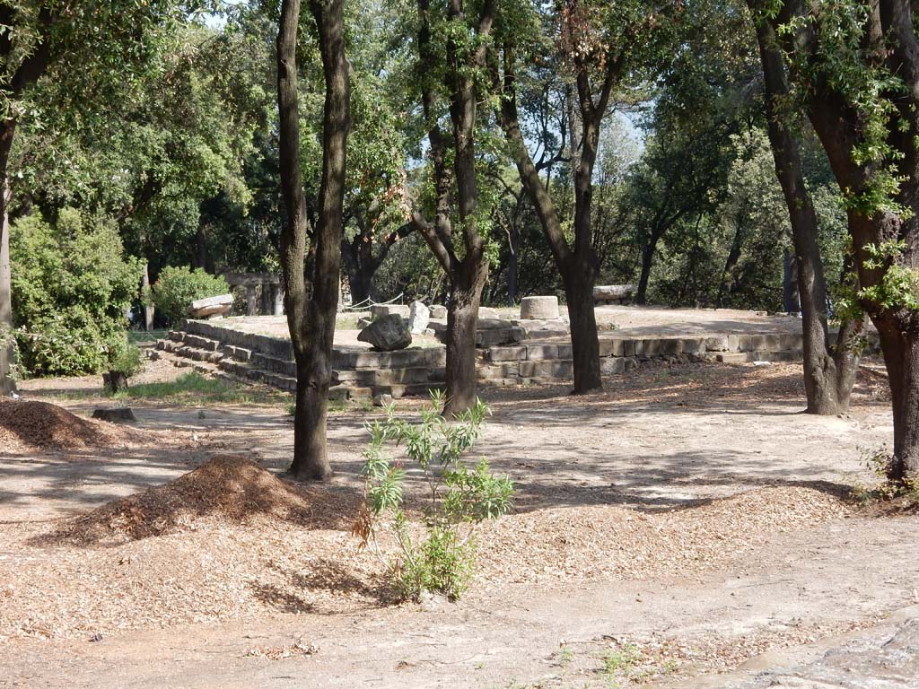 VIII.7.31 Pompeii. June 2019. Looking towards north-west corner and west side. Photo courtesy of Buzz Ferebee.
