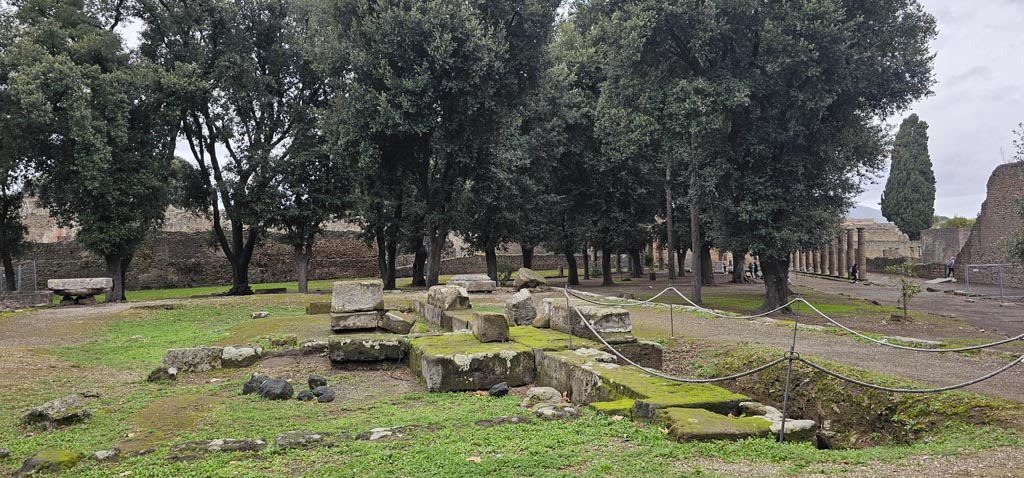 VIII.7.31 Pompeii. December 2023. Looking north-west across Doric Temple. Photo courtesy of Miriam Colomer.