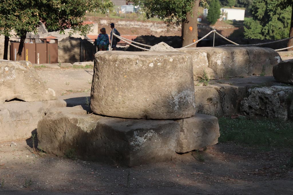 VIII.7.31 Pompeii. October 2023. Detail. Photo courtesy of Klaus Heese.
