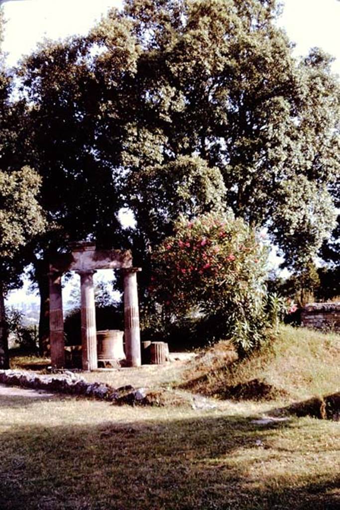 VIII.7.32 Pompeii. 1961. Looking south-east. Photo by Stanley A. Jashemski.
Source: The Wilhelmina and Stanley A. Jashemski archive in the University of Maryland Library, Special Collections (See collection page) and made available under the Creative Commons Attribution-Non Commercial License v.4. See Licence and use details.
J61f0733