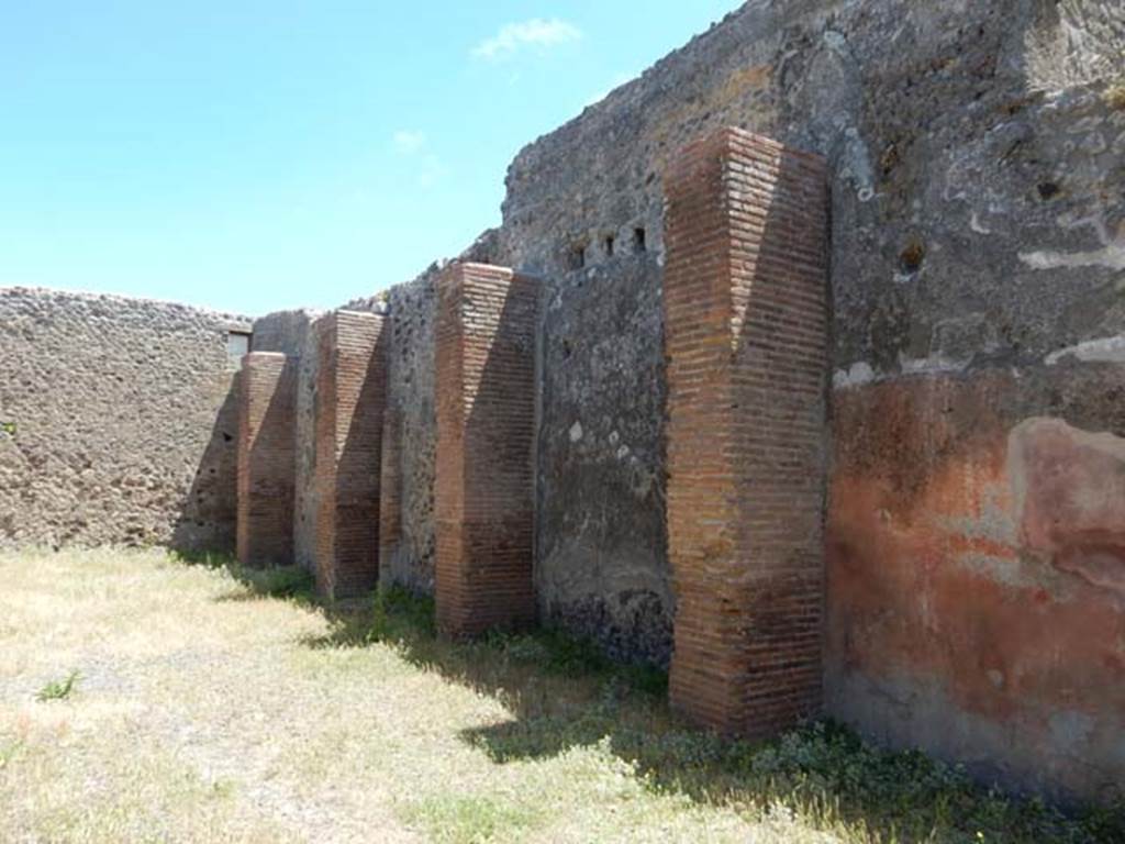 IX.1.5 Pompeii. May 2017. Looking towards south wall. On the right, south side, although the zoccolo/plinth has faded and become discoloured, the remaining wall plaster showed red panels in the middle area of the wall. Photo courtesy of Buzz Ferebee.