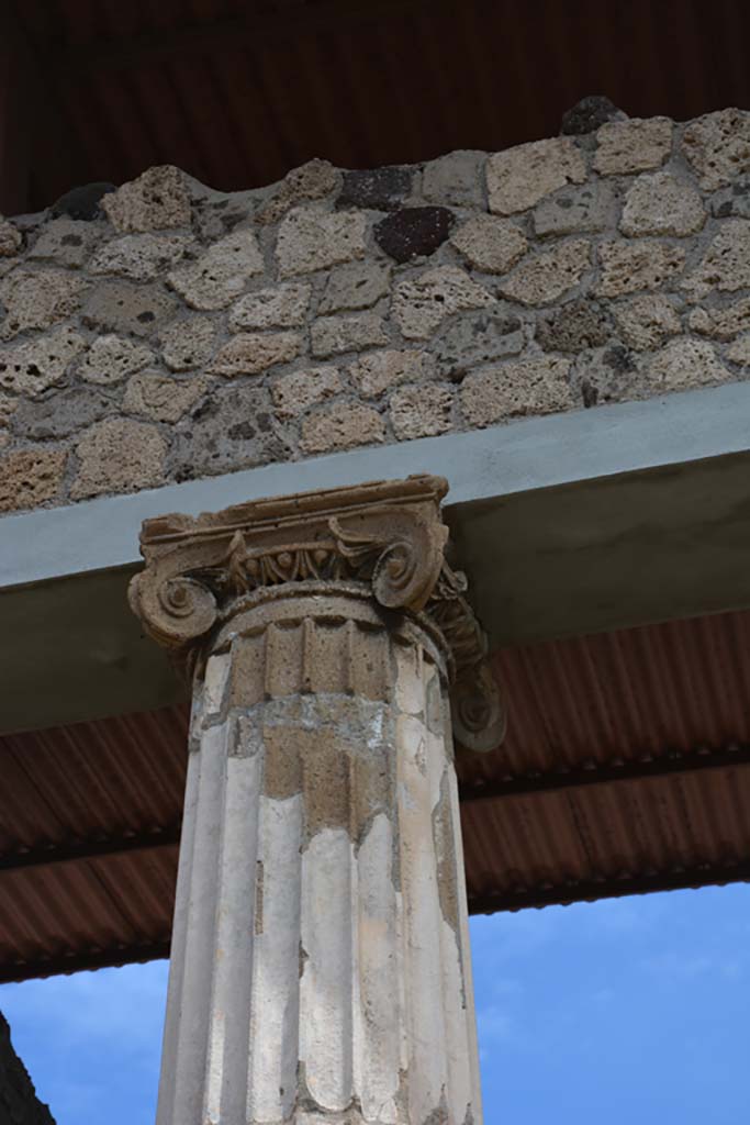 IX.1.20 Pompeii. September 2019. East ala 6, detail of Ionic column capital.
Foto Annette Haug, ERC Grant 681269 DÉCOR