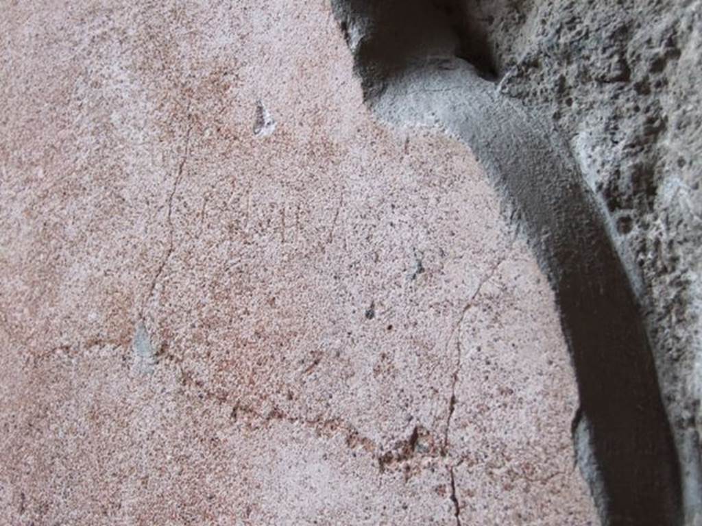 IX.1.20 Pompeii. December 2007. Room 6. Ala. Graffiti in plaster.
