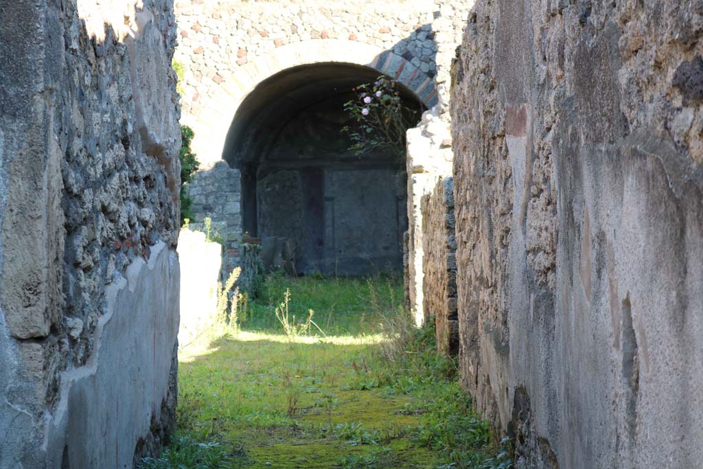 IX.2.10 Pompeii. December 2018.
Looking east from entrance corridor towards the vaulted room or tablinum. Photo courtesy of Aude Durand.