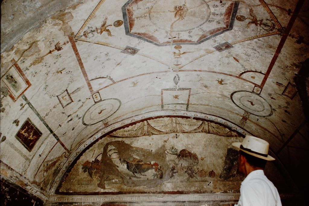 IX.2.10. Pompeii. 1959. Tablinum, with vaulted painted ceiling. Photo by Stanley A. Jashemski.
Source: The Wilhelmina and Stanley A. Jashemski archive in the University of Maryland Library, Special Collections (See collection page) and made available under the Creative Commons Attribution-Non Commercial License v.4. See Licence and use details.
J59f0369