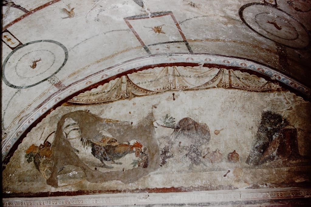 IX.2.10. Pompeii. 1959. Tablinum, painted decoration from top of east wall. Photo by Stanley A. Jashemski.
Source: The Wilhelmina and Stanley A. Jashemski archive in the University of Maryland Library, Special Collections (See collection page) and made available under the Creative Commons Attribution-Non Commercial License v.4. See Licence and use details.
J59f0367