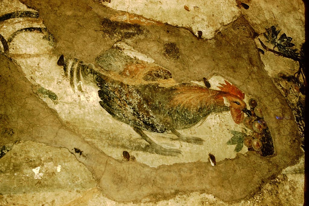 IX.2.10 Pompeii. 1957. Detail from painting in vaulted area. Photo by Stanley A. Jashemski.
Source: The Wilhelmina and Stanley A. Jashemski archive in the University of Maryland Library, Special Collections (See collection page) and made available under the Creative Commons Attribution-Non Commercial License v.4. See Licence and use details.
J57f0336