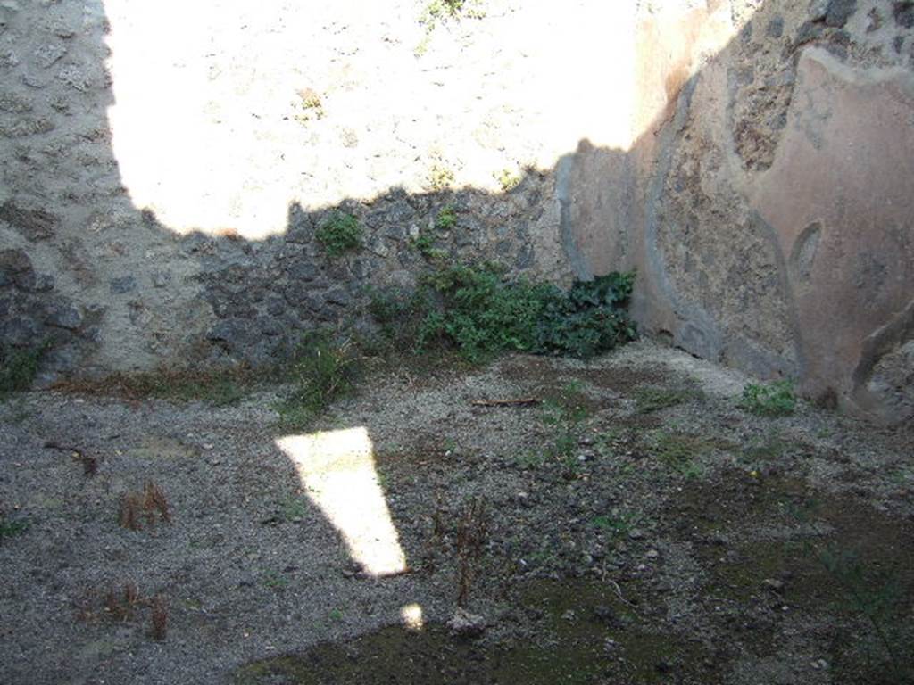 IX.2.11 Pompeii. September 2005. Rear room, looking east.