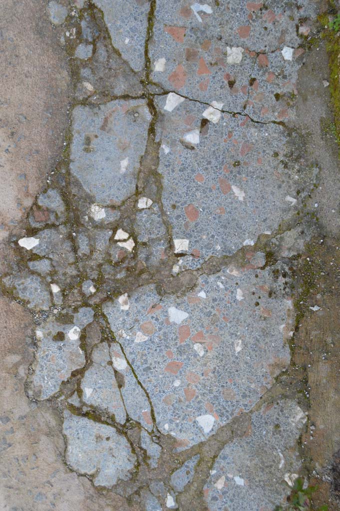 IX.2.26 Pompeii. March 2019. Detail of pavement flooring.
Foto Taylor Lauritsen, ERC Grant 681269 DÉCOR.