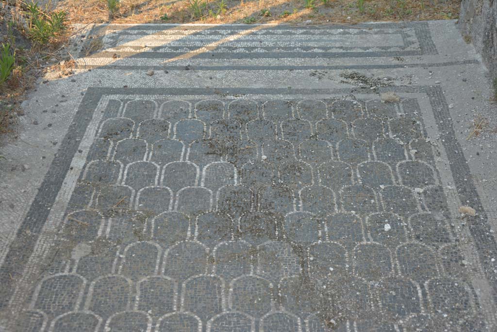 IX.3.2 Pompeii. July 2017. Looking east towards mosaic in entrance corridor at east end near atrium. 
Foto Annette Haug, ERC Grant 681269 DÉCOR.

