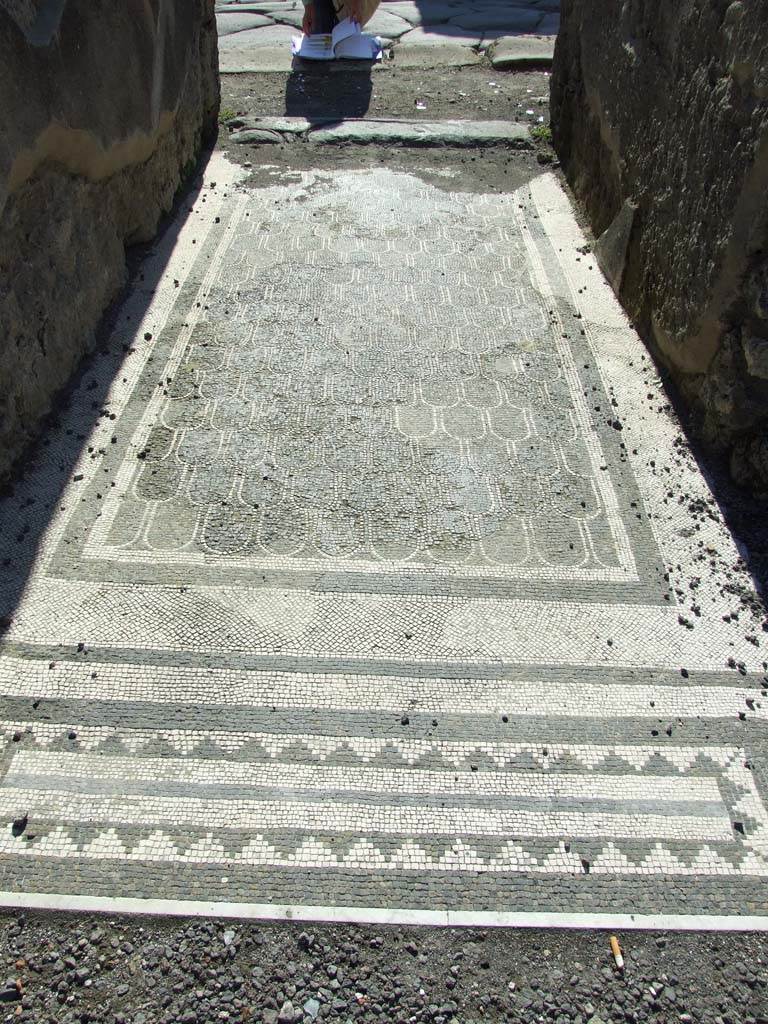 IX.3.2 Pompeii. March 2009. Mosaic in entrance vestibule. Looking west.