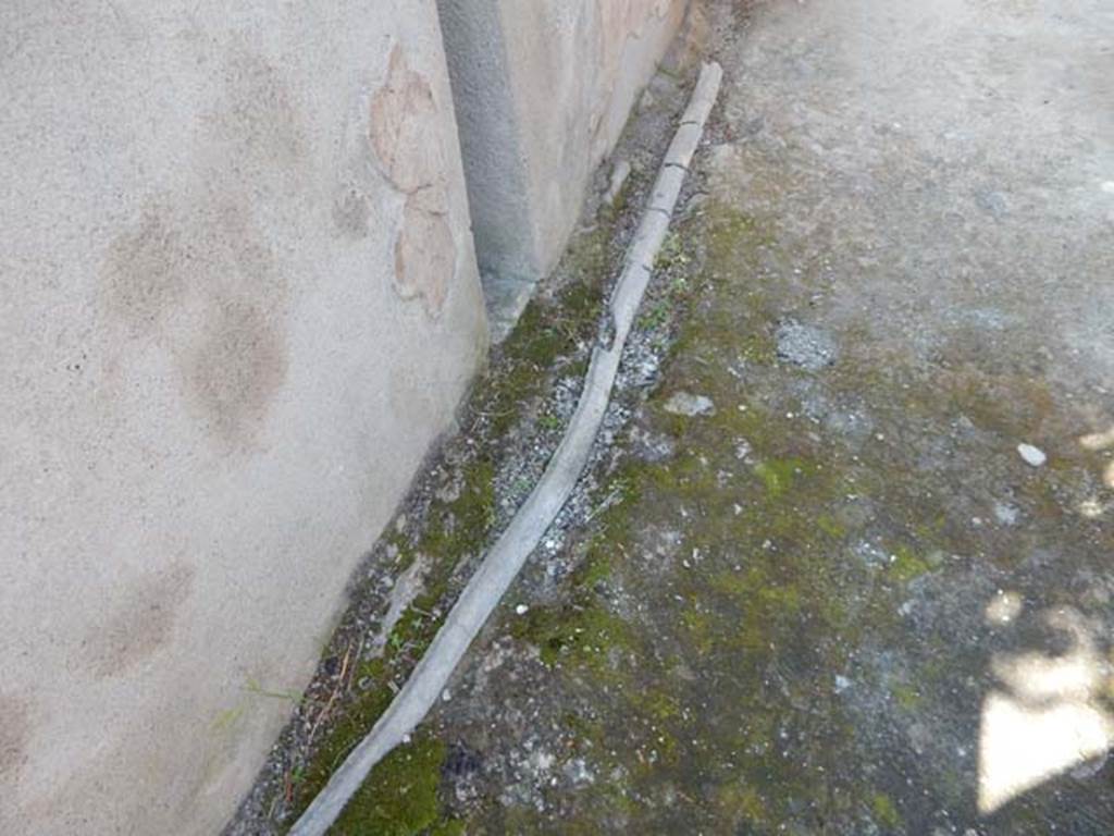 IX.3.5 Pompeii. May 2015. Room 19, lead pipe from fountain, on north side of garden wall.
Photo courtesy of Buzz Ferebee.