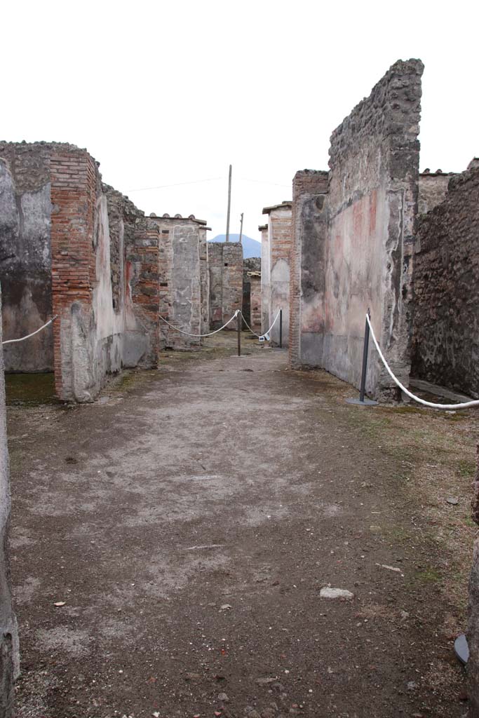 IX.3.5 Pompeii. October 2020. Looking south across atrium in the year of the pandemic.
Photo courtesy of Klaus Heese.