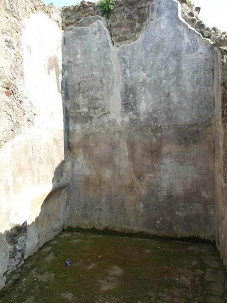 IX.3.5 Pompeii.  March 2009.    Room 31.  South wall.