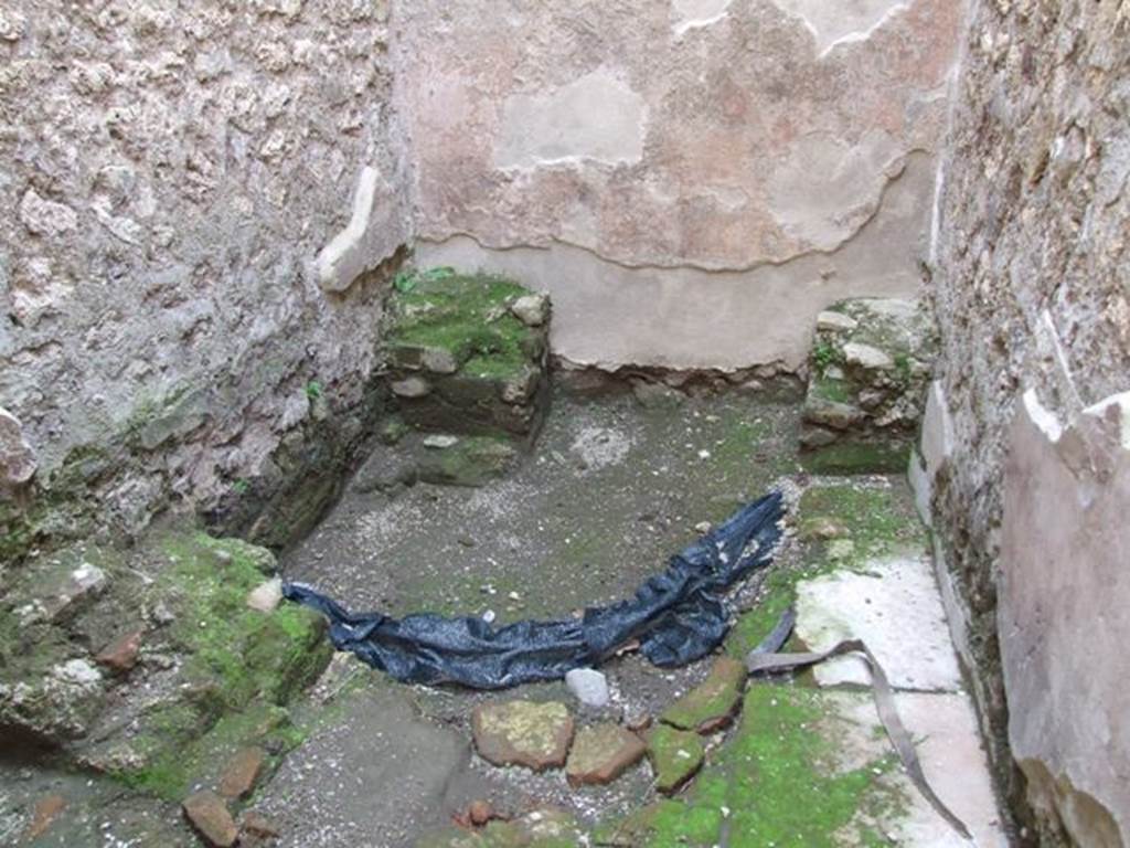 IX.3.5 Pompeii. March 2009. Room 8, latrine.