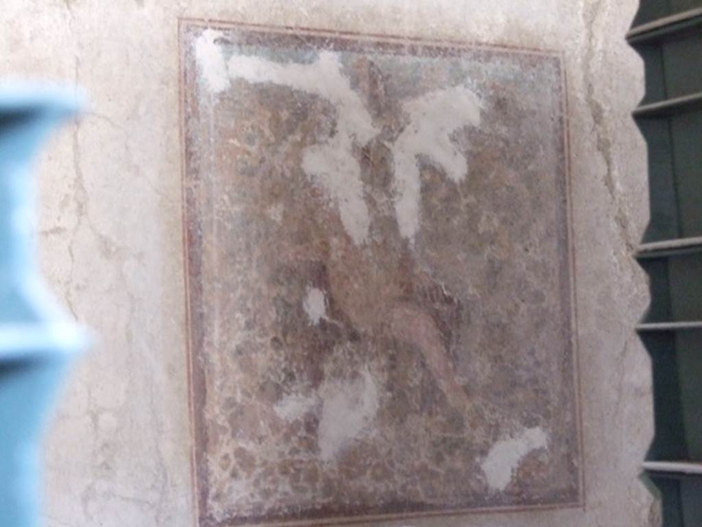 IX.3.5 Pompeii. March 2009. Room 15, remains of wall painting of Cyparissus, in the centre of the south wall. See Helbig, W., 1868. Wandgemälde der vom Vesuv verschütteten Städte Campaniens. Leipzig: Breitkopf und Härtel. (219). See Bragantini, de Vos, Badoni, 1986. Pitture e Pavimenti di Pompei, Parte 3. Rome: ICCD. (p.433)
