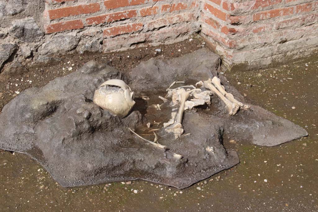 IX.4.18 Pompeii. October 2020. Cast of skeleton found outside room “n”. Photo courtesy of Klaus Heese.
