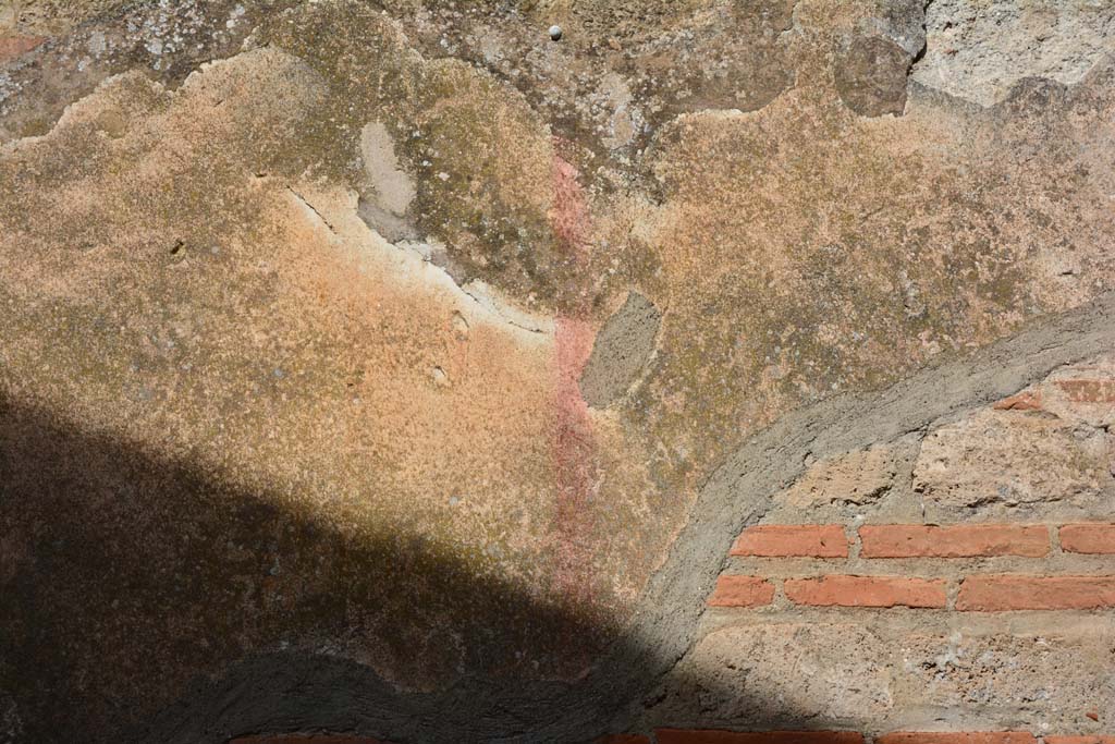 IX.5.2 Pompeii. March 2017. Room ‘i’, detail from north wall.
Foto Christian Beck, ERC Grant 681269 DÉCOR.