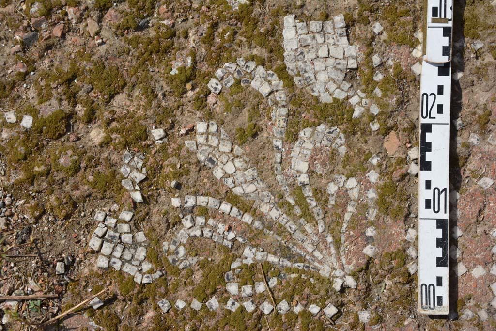 IX.5.2 Pompeii. May 2017. Room k, detail of flooring from east side of tablinum.
Foto Christian Beck, ERC Grant 681269 DCOR.

