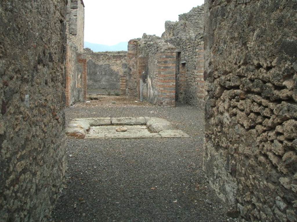IX.5.2. Looking across Atrium and impluvium from entrance corridor.