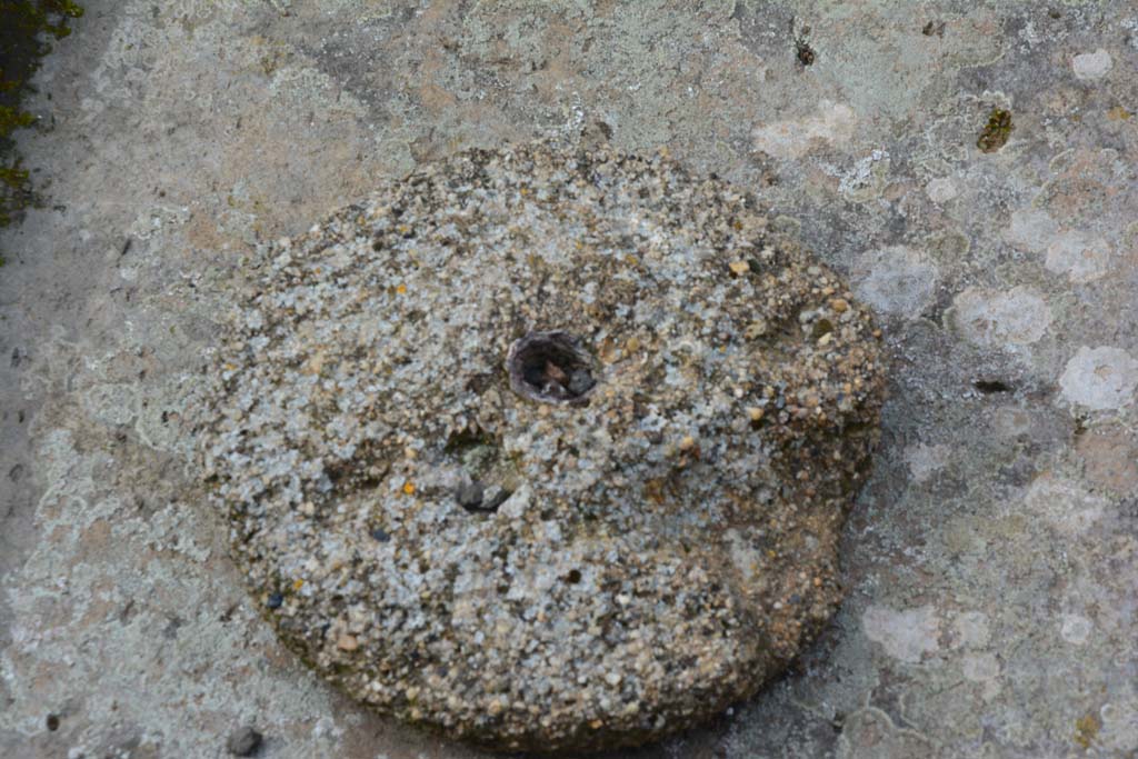 IX.5.2 Pompeii. March 2017. Room ‘b’, atrium, object in impluvium.
Foto Christian Beck, ERC Grant 681269 DÉCOR.