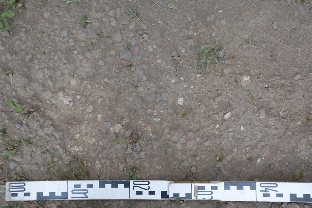 IX.5.2 Pompeii. May 2017. Room ‘d’, flooring.
Foto Christian Beck, ERC Grant 681269 DÉCOR.