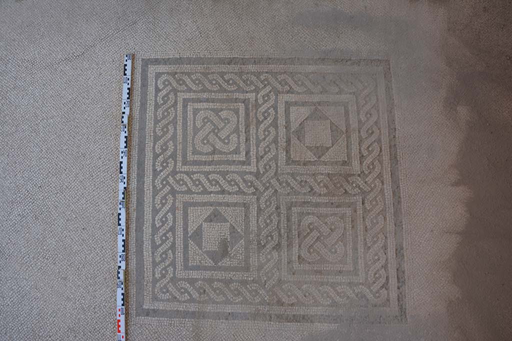 IX.5.6 Pompeii. May 2017. Room i, central emblema in mosaic floor in tablinum.
Foto Christian Beck, ERC Grant 681269 DÉCOR.