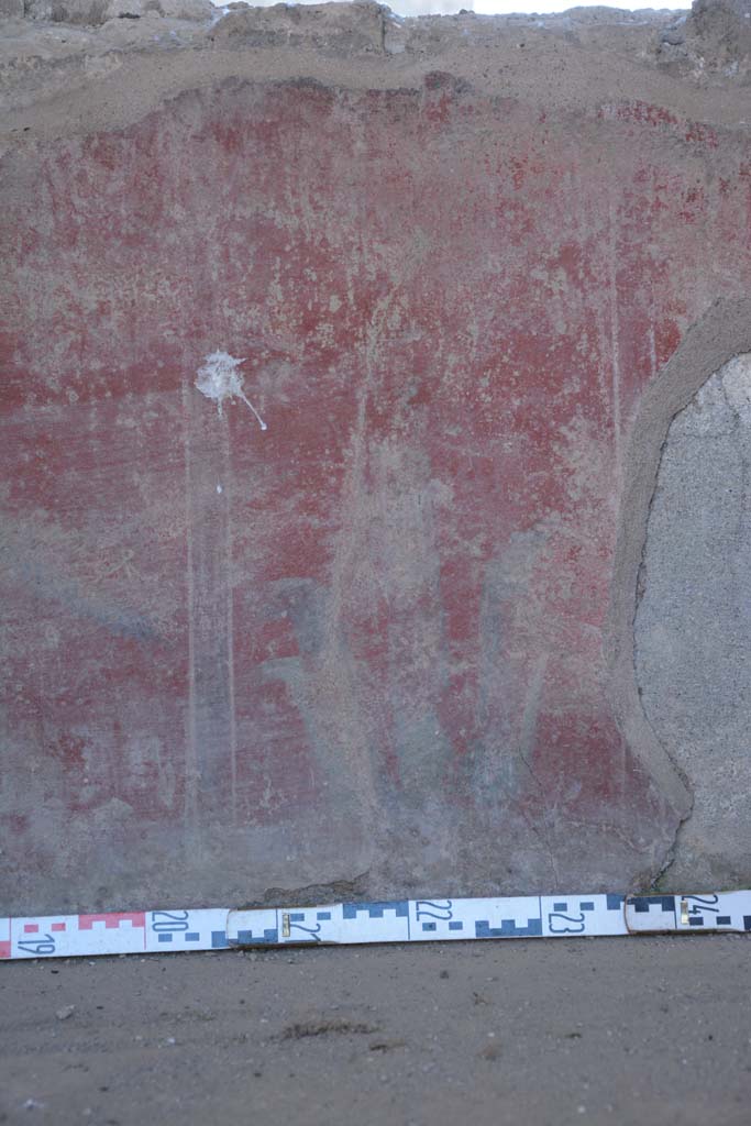 IX.5.6 Pompeii. May 2017. Room i, painted plant on zoccolo from south wall below window.
Foto Christian Beck, ERC Grant 681269 DÉCOR.