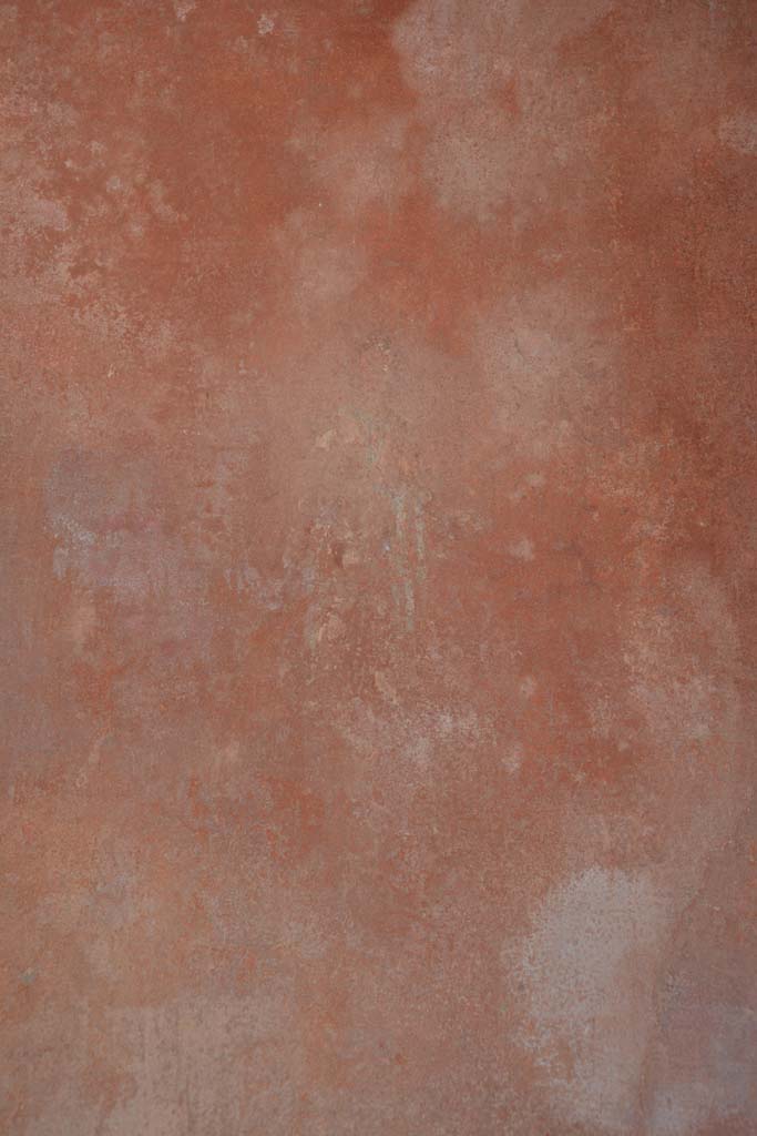 IX.5.6 Pompeii. May 2017.
Room i, detail of figure from centre of panel on south wall on west side.
Foto Christian Beck, ERC Grant 681269 DÉCOR.