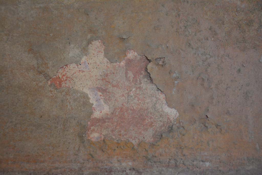 IX.5.6 Pompeii. May 2017. Room i, detail from lower middle panel on north wall in north-west corner.
Foto Christian Beck, ERC Grant 681269 DÉCOR.