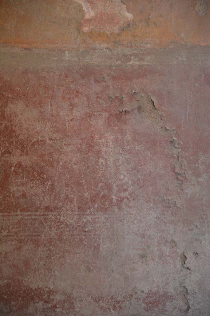IX.5.6 Pompeii. May 2017. Room i, detail of painted decoration on zoccolo on north wall.
Foto Christian Beck, ERC Grant 681269 DÉCOR.
