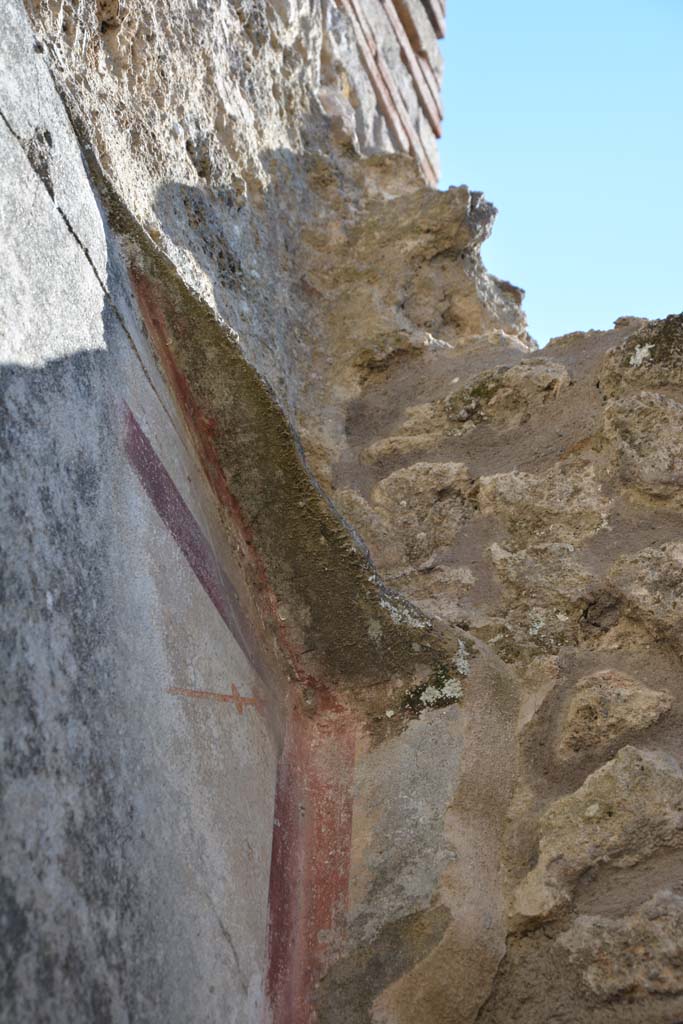 IX.5.6 Pompeii. May 2017. Room o, detail of upper south-west corner.
Foto Christian Beck, ERC Grant 681269 DÉCOR.
