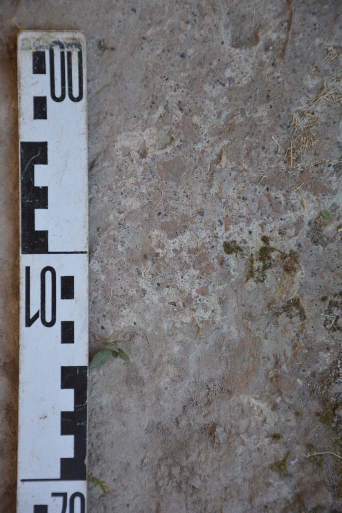 IX.5.6 Pompeii. May 2017. Room p, detail of flooring.
Foto Christian Beck, ERC Grant 681269 DÉCOR.