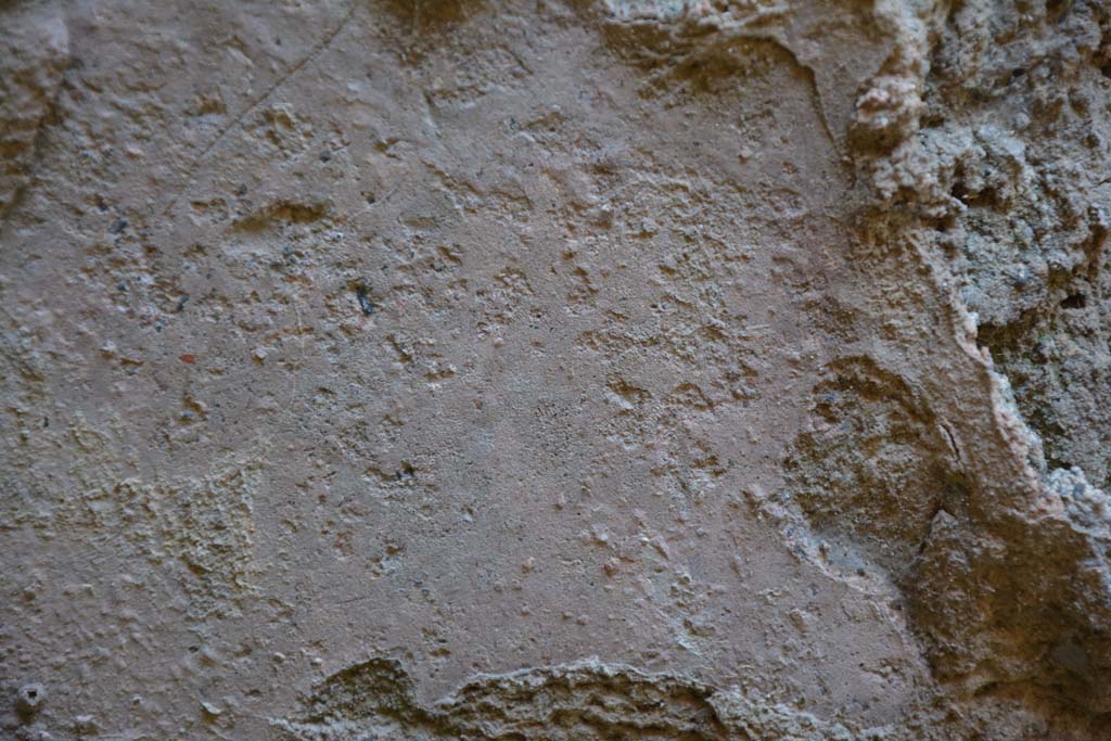 IX.5.6 Pompeii. May 2017. Room t, detail from lower north wall at west end.
Foto Christian Beck, ERC Grant 681269 DÉCOR.