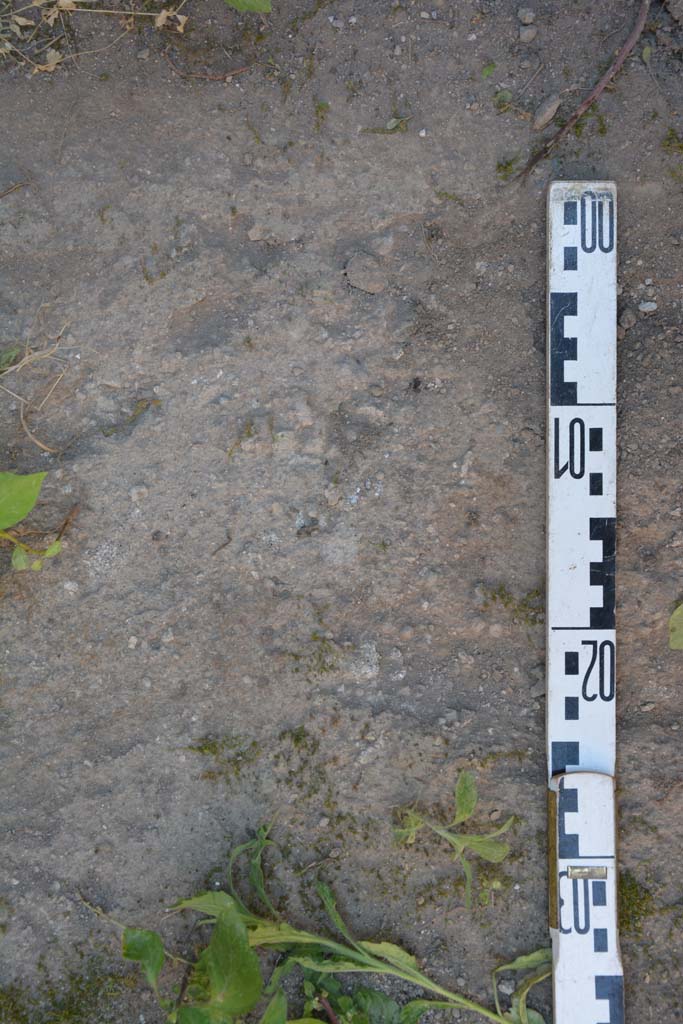 IX.5.6 Pompeii. May 2017. Room s, flooring.
Foto Christian Beck, ERC Grant 681269 DÉCOR.