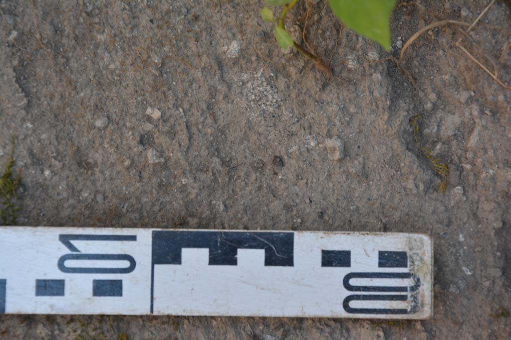 IX.5.6 Pompeii. May 2017. Room s, detail from flooring.
Foto Christian Beck, ERC Grant 681269 DÉCOR.