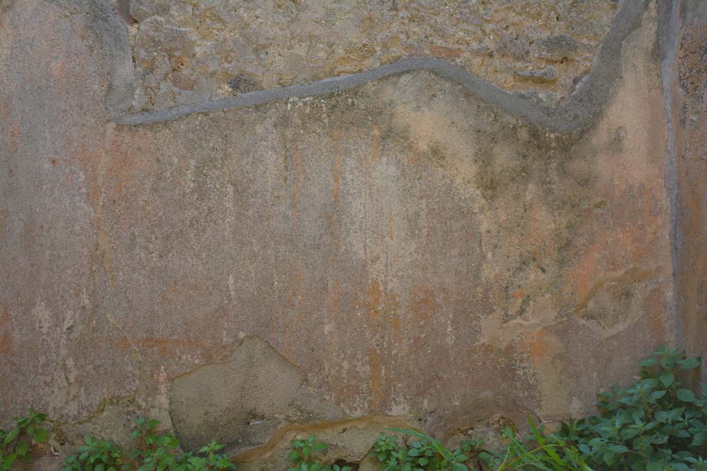 IX.5.6 Pompeii. May 2017. Room s, detail from south wall.
Foto Christian Beck, ERC Grant 681269 DÉCOR.