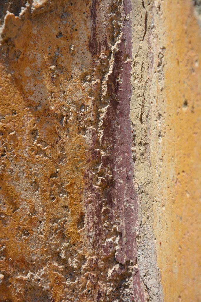IX.5.6 Pompeii. May 2017. Room s, detail from north-west corner.
Foto Christian Beck, ERC Grant 681269 DÉCOR.