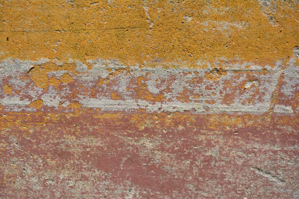 IX.5.6 Pompeii. May 2017. Room s, detail from north wall, zoccolo below, and area separating it from middle of wall, above.
Foto Christian Beck, ERC Grant 681269 DÉCOR.