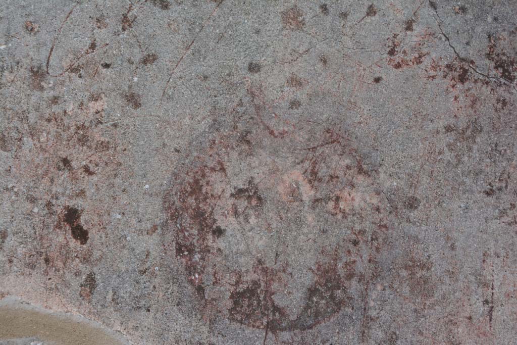 IX.5.6 Pompeii. May 2017. West ala d, west wall at north end, detail of medallion.
Foto Christian Beck, ERC Grant 681269 DCOR.
