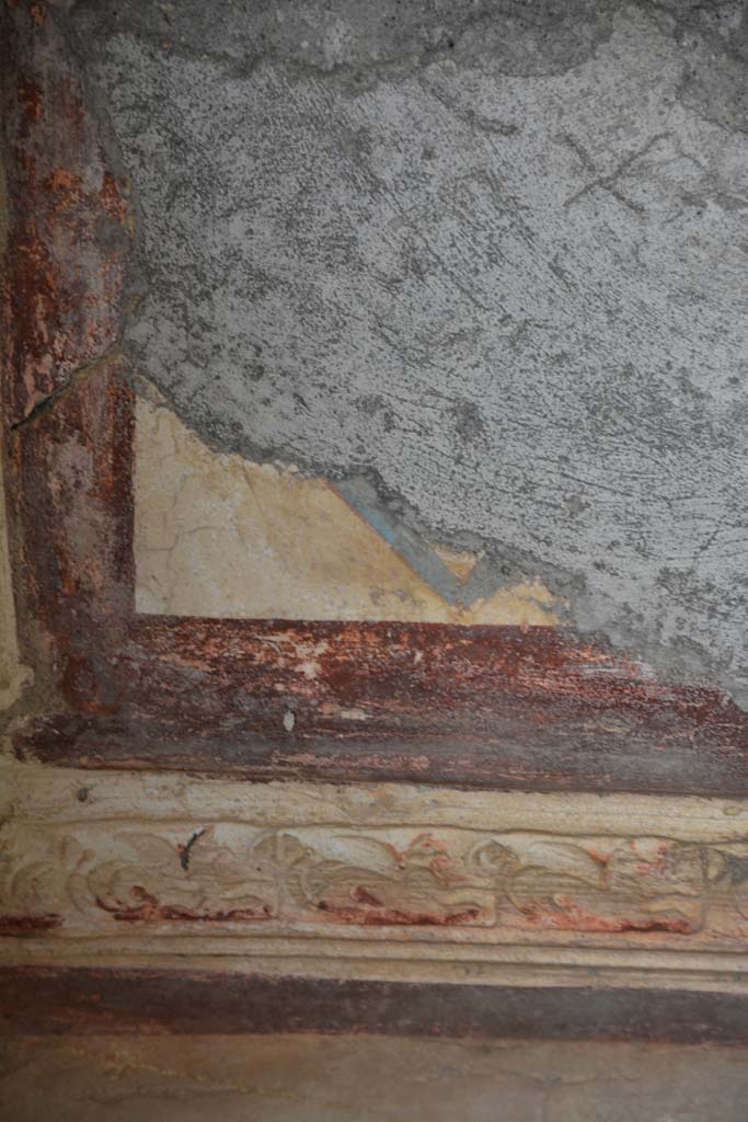 IX.5.6 Pompeii. May 2017.
Room h, detail from stucco cornice with marine griffins on south wall, with purple ceiling border, above.
Foto Christian Beck, ERC Grant 681269 DÉCOR.