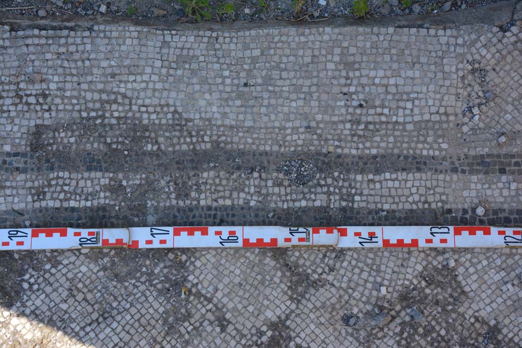 IX.5.6 Pompeii. May 2017. East ala e, detail of mosaic flooring near doorway to room f.
Foto Christian Beck, ERC Grant 681269 DÉCOR.