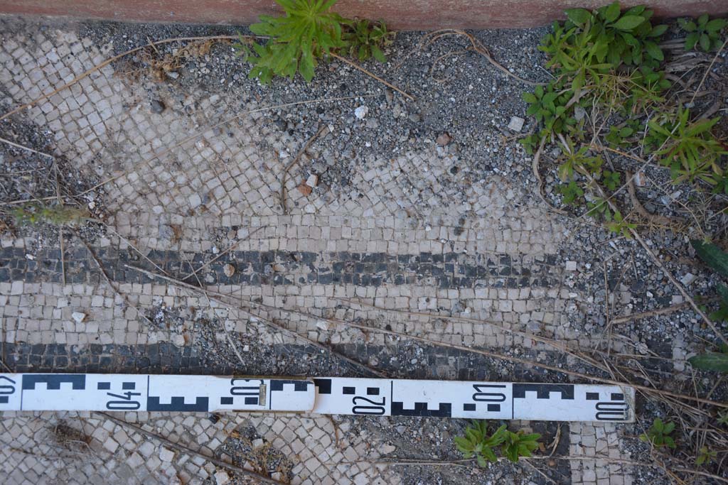 IX.5.6 Pompeii. May 2017. East ala e, detail of mosaic flooring in north-east corner.
Foto Christian Beck, ERC Grant 681269 DÉCOR.