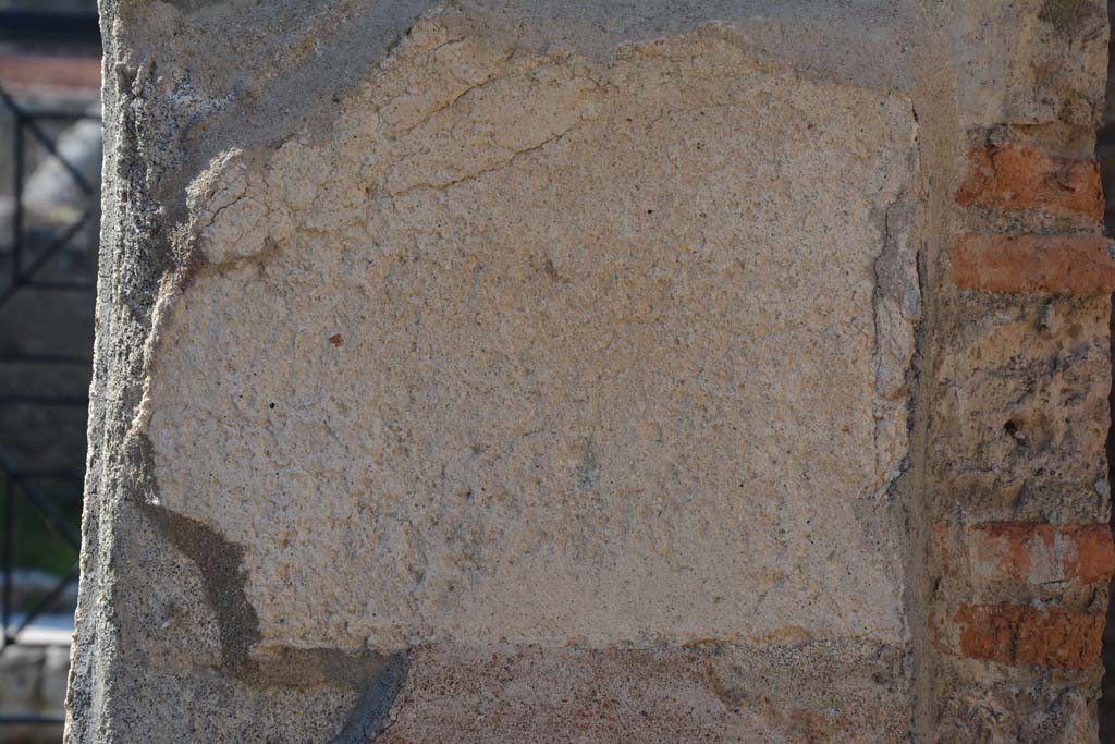 IX.5.6 Pompeii. May 2017. East ala e, detail from north wall at west end.
Foto Christian Beck, ERC Grant 681269 DÉCOR.