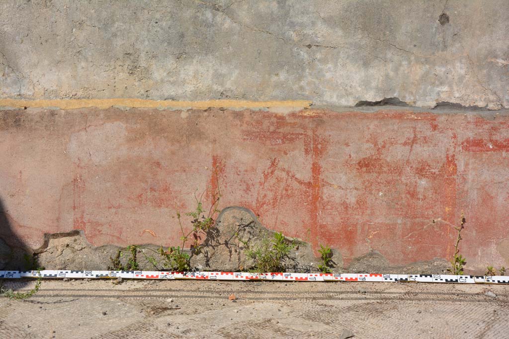 IX.5.6 Pompeii. May 2017. East ala e, continuation of zoccolo of east wall.
Foto Christian Beck, ERC Grant 681269 DÉCOR.