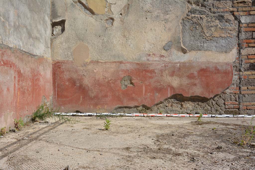 IX.5.6 Pompeii. May 2017. East ala e, looking across flooring towards zoccolo on south wall.
Foto Christian Beck, ERC Grant 681269 DÉCOR.