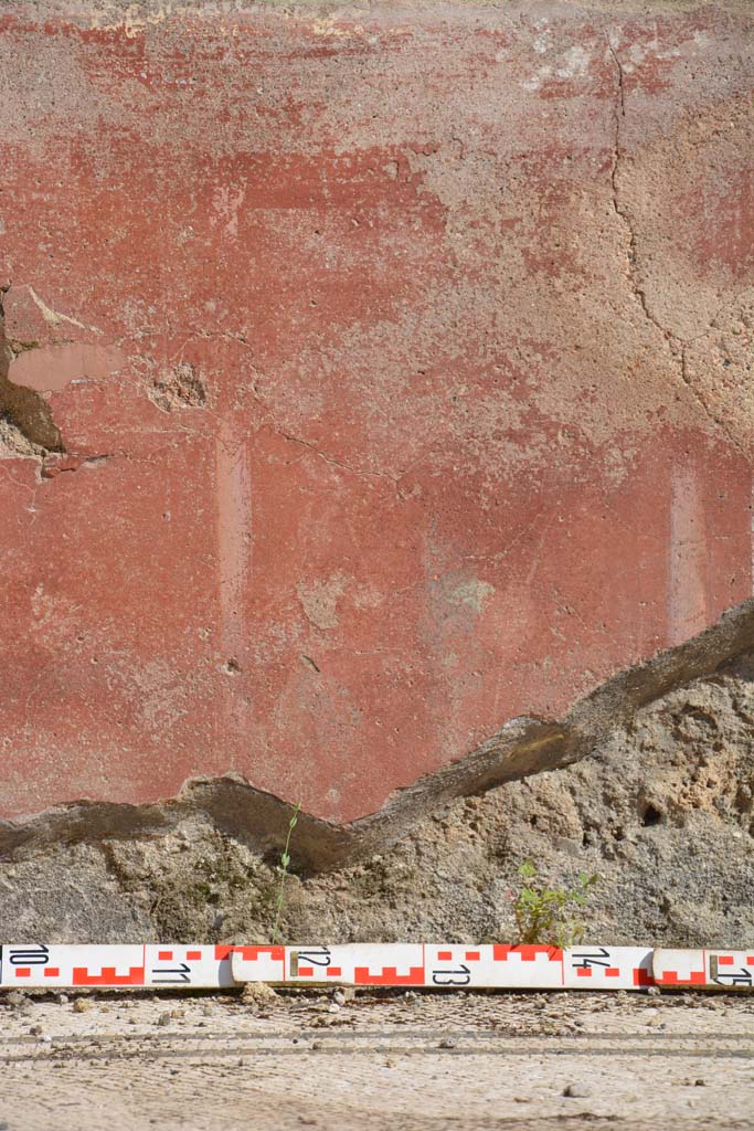 IX.5.6 Pompeii. May 2017. East ala e, detail of zoccolo in centre of south wall.
Foto Christian Beck, ERC Grant 681269 DÉCOR.