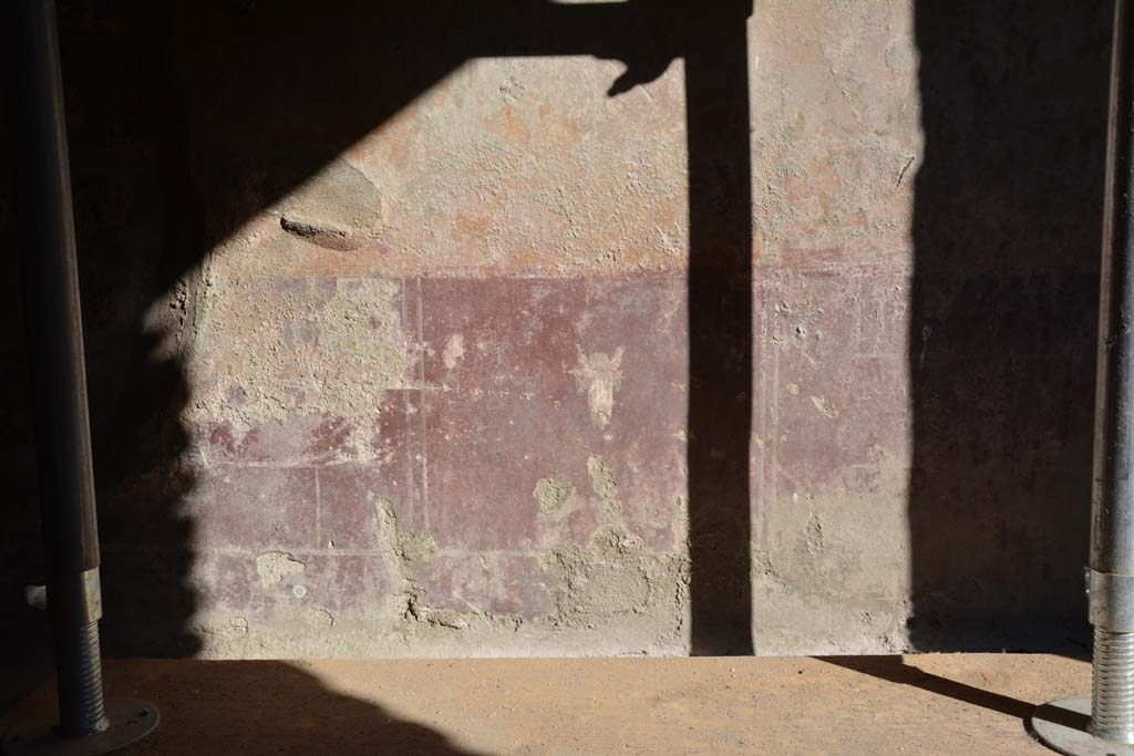 IX.5.6 Pompeii. May 2017. Room g, detail from zoccolo on south wall.
Foto Christian Beck, ERC Grant 681269 DÉCOR.