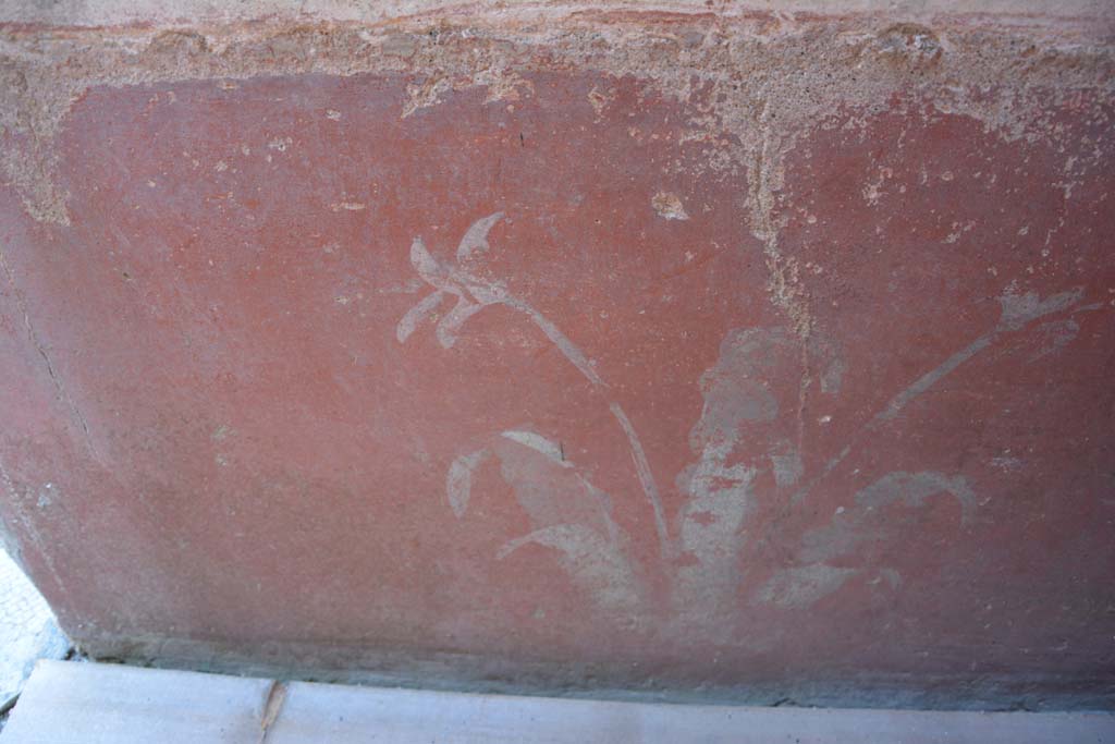 IX.5.6 Pompeii. May 2017. Room k, (east side), detail of painted plant from zoccolo on north wall.
Foto Christian Beck, ERC Grant 681269 DÉCOR.