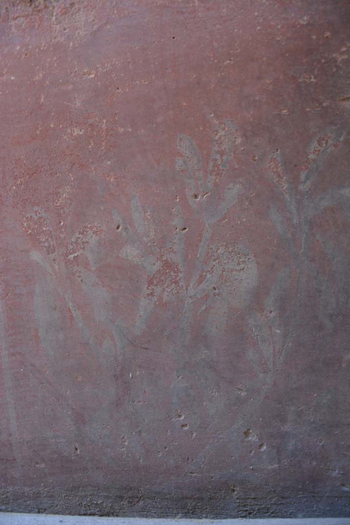 IX.5.6 Pompeii. May 2017.
Room k, (east side), detail of painted plant from zoccolo of north wall.
Foto Christian Beck, ERC Grant 681269 DÉCOR.